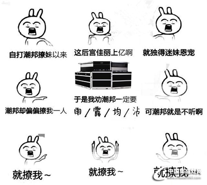 我勸皇上要雨露均沾~但皇上偏不聽(tīng)，就寵潮邦集成灶！