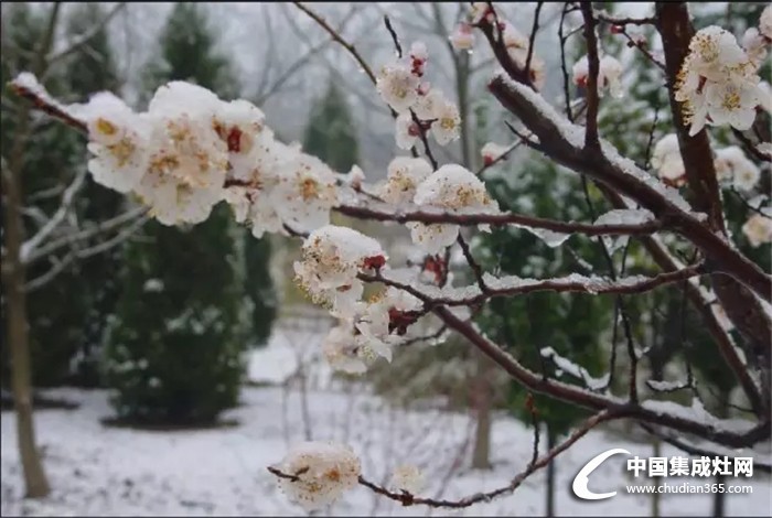 倒春寒來了，火星一號教你如何應(yīng)對！