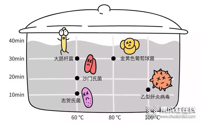 細菌無處隱藏，邦的給全家安心守護