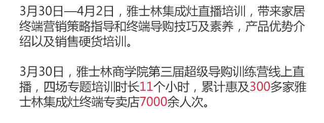 雅士林集成灶2020年度報告移動圖片