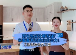 廚電集成灶哪家強(qiáng)？來看看浙派集成灶的企業(yè)實(shí)力！ (1684播放)