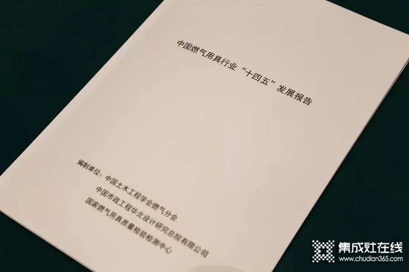 《中國(guó)燃?xì)饩咝袠I(yè)“十四五”發(fā)展報(bào)告》重磅首發(fā)，從多方面指出行業(yè)發(fā)展建議意見(jiàn)！_2