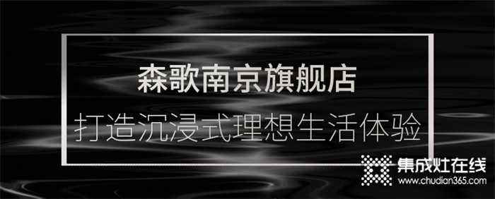 森歌南京分公司攜四店盛大開業(yè)，探索理想廚房生活的可能