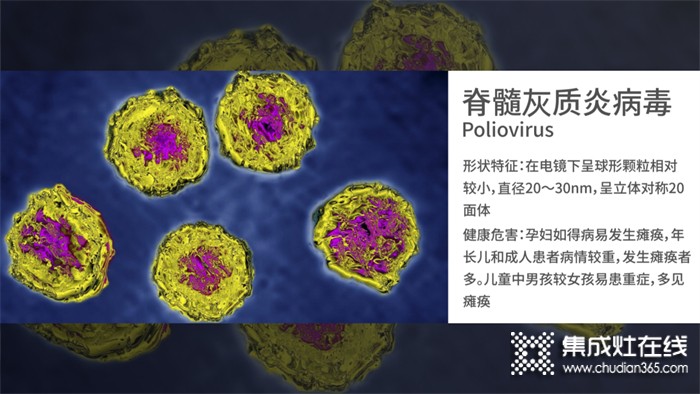 四星級除菌是什么概念？為什么要用四星級除菌洗碗機？森歌為你解答！